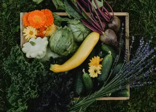 Які овочі, зелень та квіти посіяти під перші весняні дощі