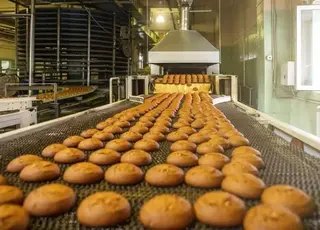 Alviva Group розпочала власне вирощування зернових для контролю виробництва хліба
