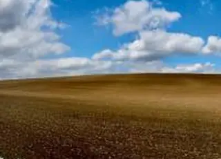 «Контінентал» готується до весняно-польових робіт: ризики пересіву озимих не розглядаються