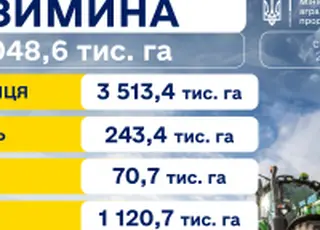 Озимими зерновими засіяно понад 75% прогнозованих площ
