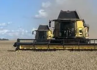 Агрохолдинг KSG Agro розпочав жнива