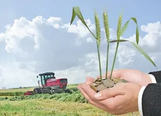 Вінницькі агровиробники адаптували бізнес до зростання витрат і ризиків