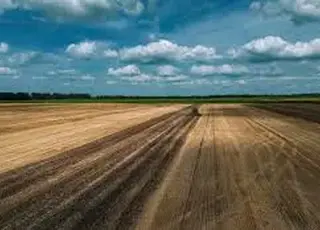 В Україні спростили процес зміни цільового призначення сільгоспземель