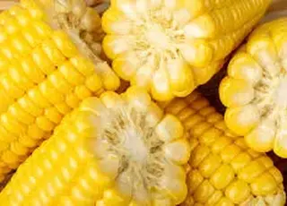 Аналітики підвищили прогноз врожаю кукурудзи в Україні