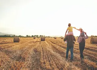 Стало відомо, які фермерські господарства отримують держдопомогу по сплаті єдиного внеску