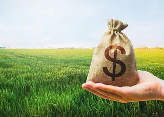 Стало відомо, скільки зараз коштує гектар землі в Україні та де ціни найвищі