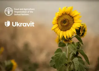 Ukravit і ФАО підтримують фермерів, які постраждали від війни
