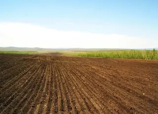 В Україні запровадили новий механізм реєстрації земель на окупованих територіях