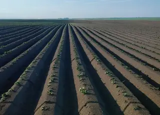 Хто має першочергове право на безоплатну приватизацію землі 