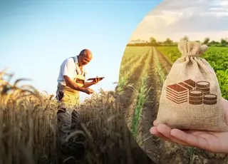 ДАР оновив механізми подання заявок на державну підтримку