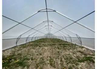 Чим зафіксувати плівку на теплиці: способи кріплення, які справді працюють