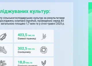 Agrohub проаналізував ефективність агровиробництва у сезоні 2024: прогнозний EBITDA складає 402 $/га