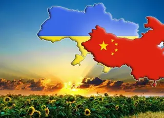 Китай може відкрити ринок для нових агропродуктів з України