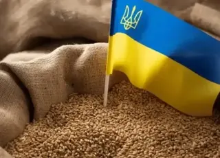 Алжир формує 40% експорту української пшениці у березні