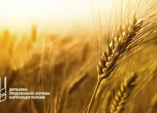 Викрито масштабну корупційну схему заволодіння зерном ДПЗКУ