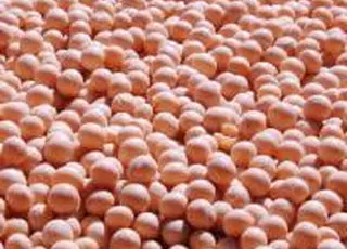 Китайський фактор підтримав зростання цін на українську сою