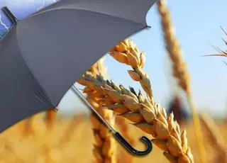 В Україні запускається механізм агрострахування