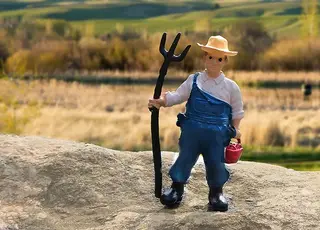 Як фермерам не втратити право на спрощену систему