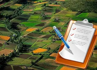 В Україні частково відновили позапланові перевірки земель