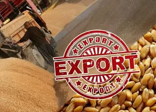 Україна у вересні експортувала 3,7 млн т агропродукції