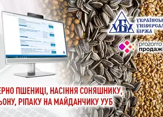 У системі Прозорро.Продажі проходять аукціони з продажу пшениці, насіння соняшнику, льону та ріпаку