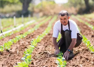 Дефіцит працівників в АПК досяг критичного рівня