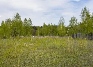 Експерти назвали особливості оформлення земельних ділянок в межах населених пунктів