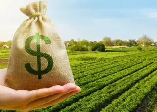 Аграрії сплатили понад 1 млрд грн за користування державною землею через «Земельний банк»