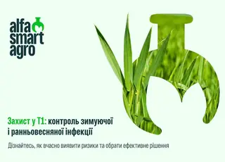 Захист у Т1: контроль зимуючої і ранньовесняної інфекції