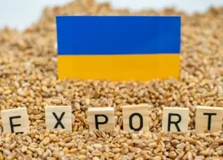 Експорт українського зерна у 2025 році перевищив 7 мільйонів тонн