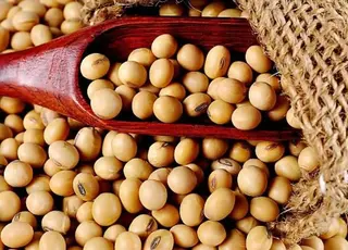 Стало відомо, що відбувається на світовому ринку сої