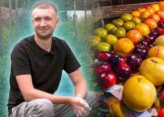 19-річний агроном із Чернігівщини вирощує майже 300 сортів томатів