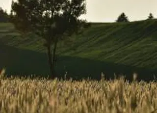 Corteva Agriscience оголошує старт програми лояльності для українських фермерів