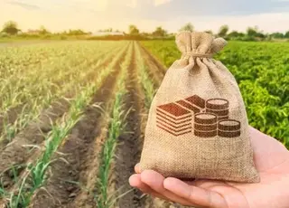 Середня вартість сільськогосподарської землі в Україні у вересні 2025 року знизилася