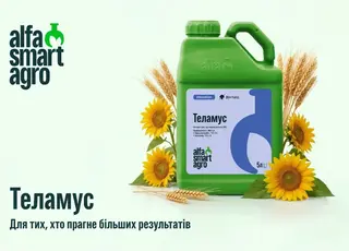 Теламус: фунгіцидна технологія для здорового листка і високої продуктивності