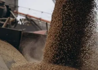 З окупованого Маріуполя вивезли першу партію викраденого українського зерна