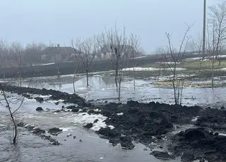 Як врятувати врожай від підтоплень та морозів у лютому