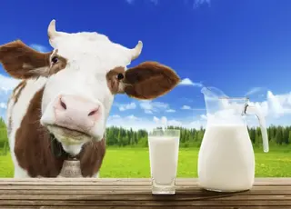 В Україні знизились ціни на молочну продукцію
