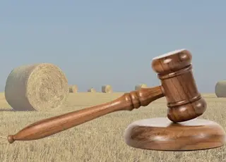 Стало відомо, як не помилитися зі стартовою ціною земельного аукціону