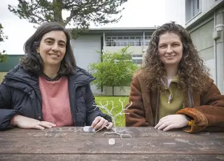 Науковці створили акумулятори на основі соняшникового лушпиння