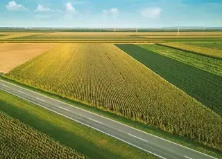 Озвучено методологічні вимоги до проведення польових дослідів