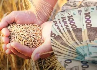 Стало відомо, як змінилися ціни на зернові в Україні
