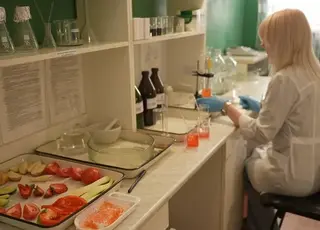 У Кропивницькому лабораторія не допустила до продажу сотні кілограмів овочів