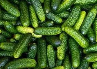 Ціни на огірки в Україні б’ють рекорди