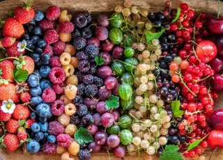 Експертка назвала ключові тренди, які визначатимуть майбутнє ягідництва в Україні