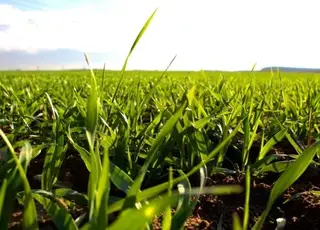 Рішення проти біотичних та абіотичних стресів