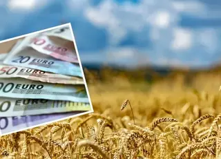 Озвучено оновлені ціни на зернові в Україні