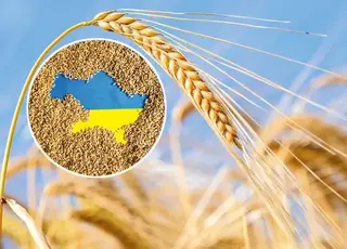 Україна планує розширити програму Grain from Ukraine