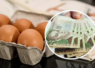 Озвучено оновлені ціни на яйця в Україні