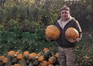 Ветеран запустив гарбузовий бізнес на Кіровоградщині